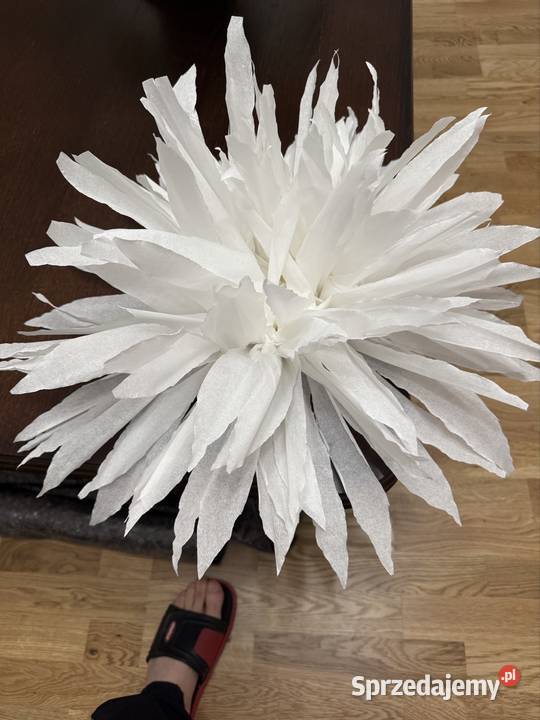 Wykonam kwiaty z bibuły Lipnica Murowana