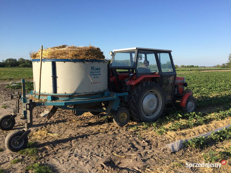 Ścielarka słomy do truskawek firmy Kidd Radzikowo Scalone