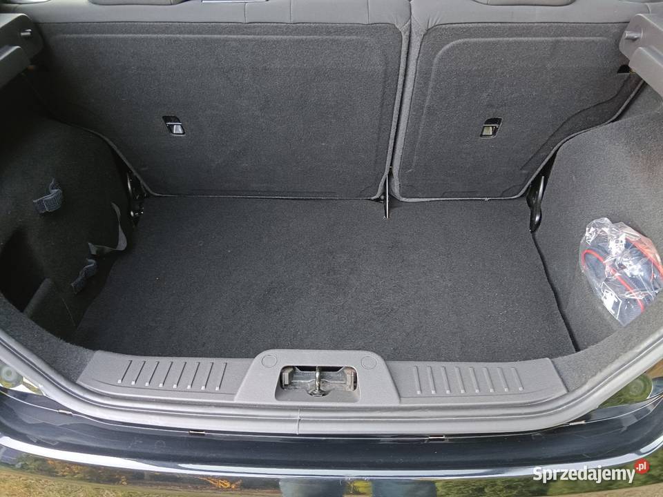 Ford Fiesta lift 2015r Żory