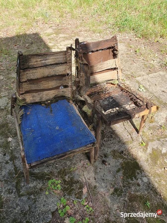 Fotele Celia typ 300227 Krzesła stare antyki Warszawa