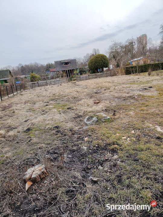 Działka ROD Parkiem w Pile Piła sprzedam