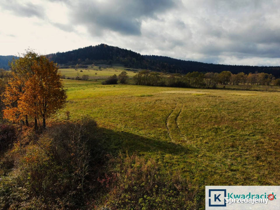 sprzedaży gruntu Jaśliska 3092m2 woda