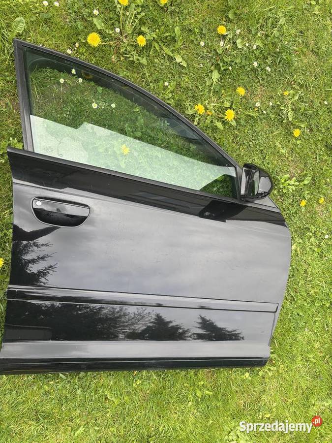 Drzwi Audi a3 8p 5d LY9B Rok produkcji 2007 Drzwi