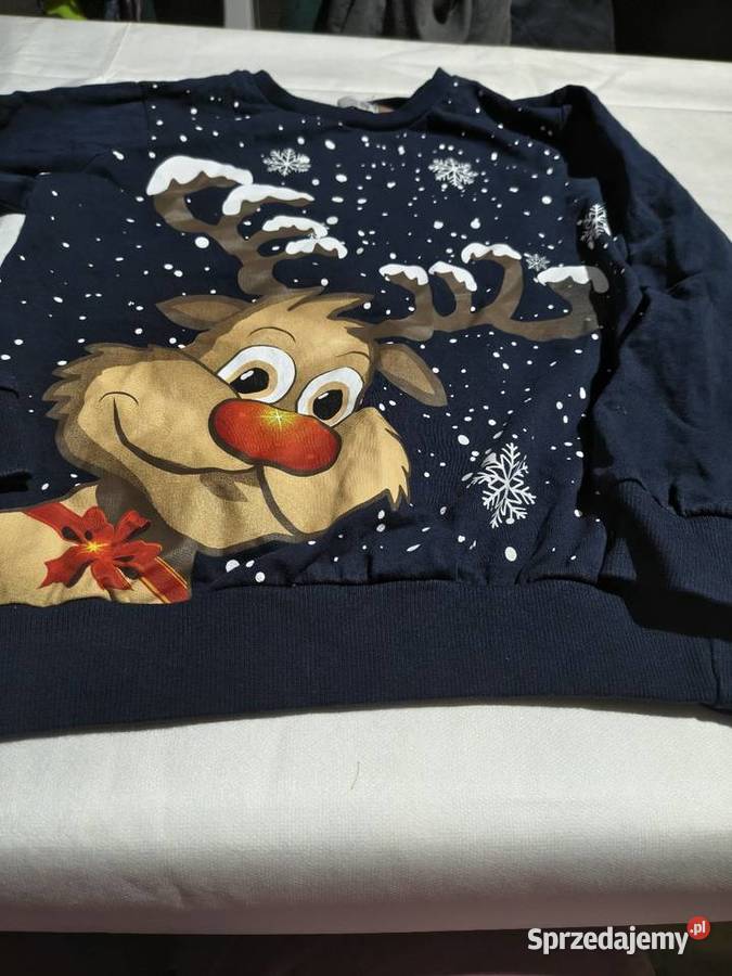 Bluza chłopięca kolorowy Jasień