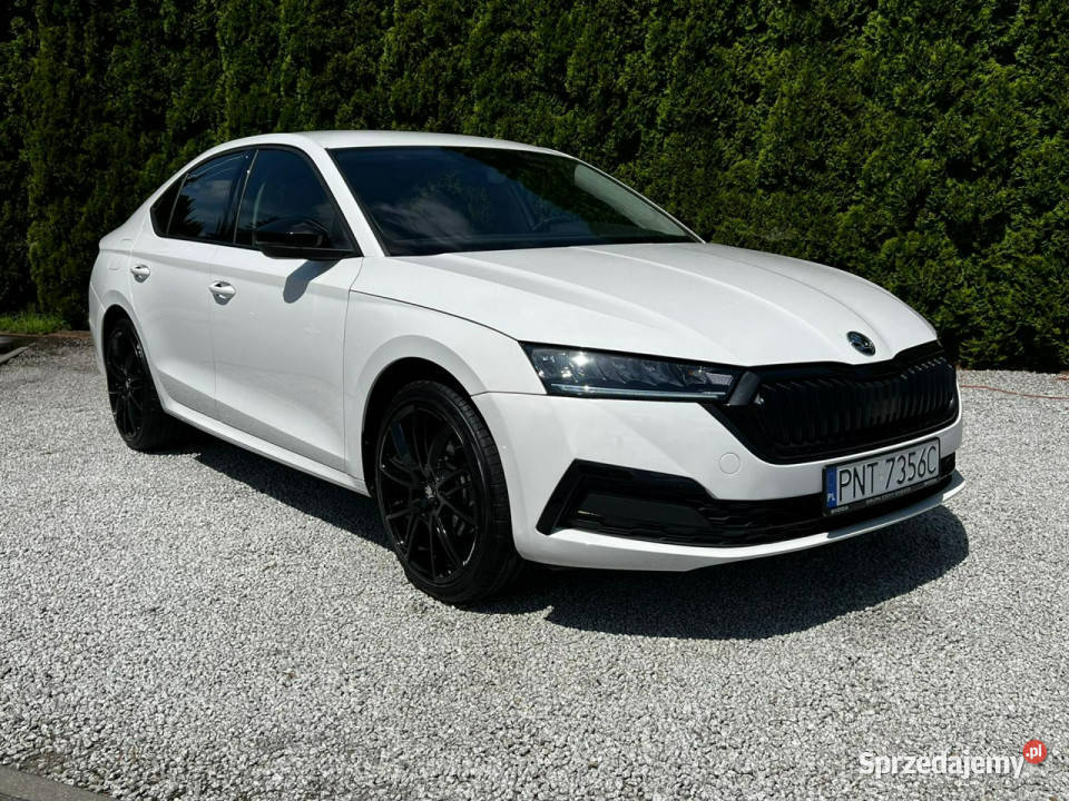 koda Octavia 20 TDI automat Sedan IV 2020 Baranowo