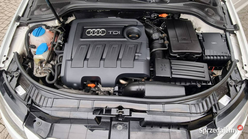 Audi A3 Sportback Lift 16 TDI Panorama GWARANCJA Płońsk