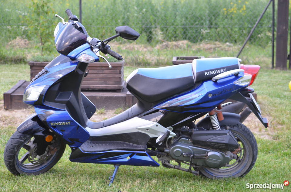 Kingway martinelli TANIO Jacków