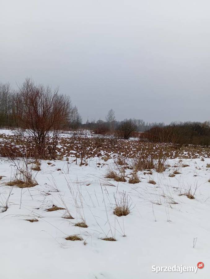 działka inwestycyjną z możliwością budowy stawu Przędzel sprzedam