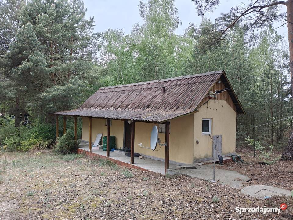 Syndyk sprzeda Łacha