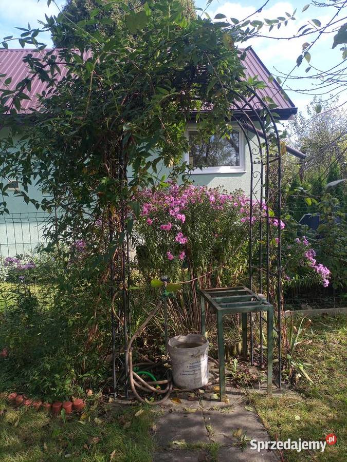 Sprzedam działkę ROD Zakole Wisły