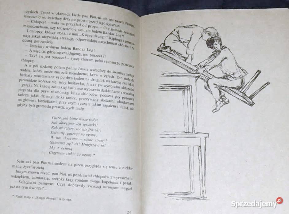 Chłopcy z ulic miasta Halina Górska