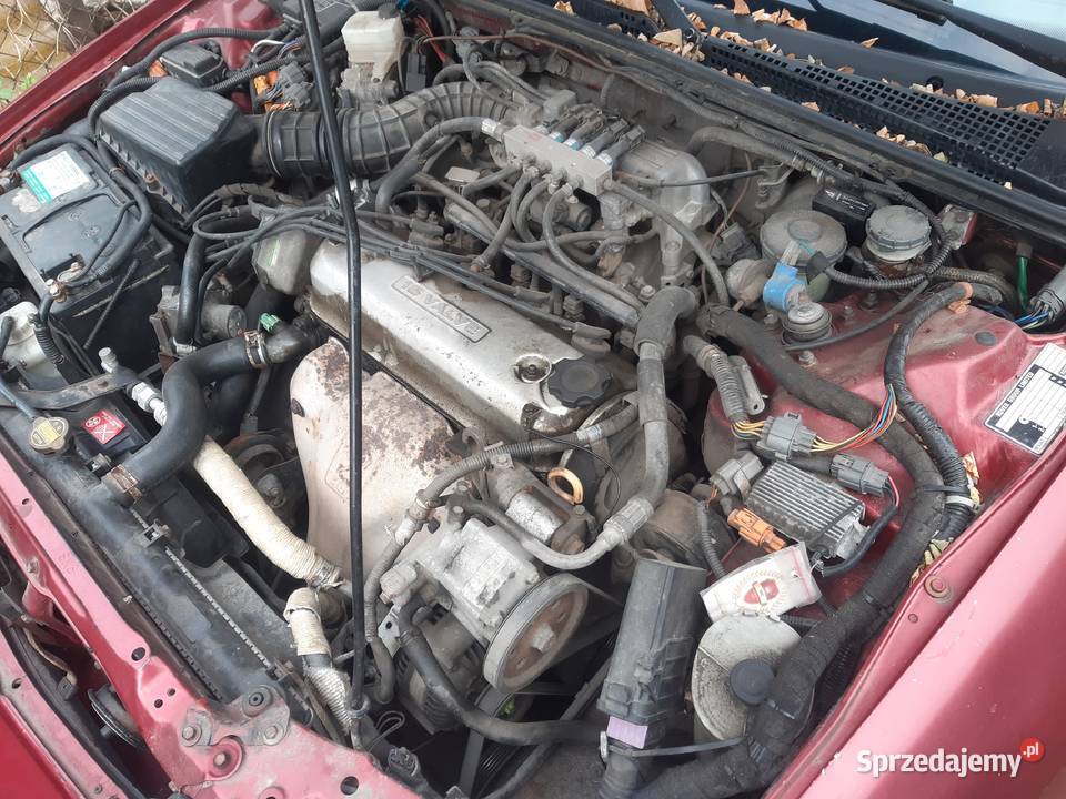 Rover 620 20 benzynaczesci Biała Podlaska