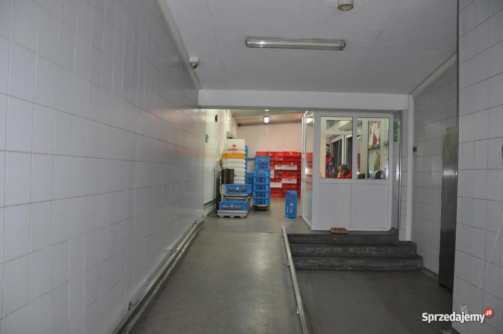 DOCHODOWY ZAKŁAD MIĘSNY Jelcz-Laskowice