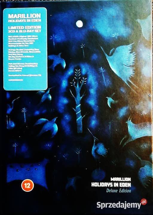 Koncert REEF In MOTION Live From Hammersmith Blu-ray
