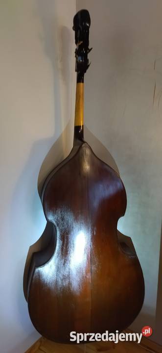 Kontrabas 44 Pyton z Filharmonii Lwowskiej Jędrzejów