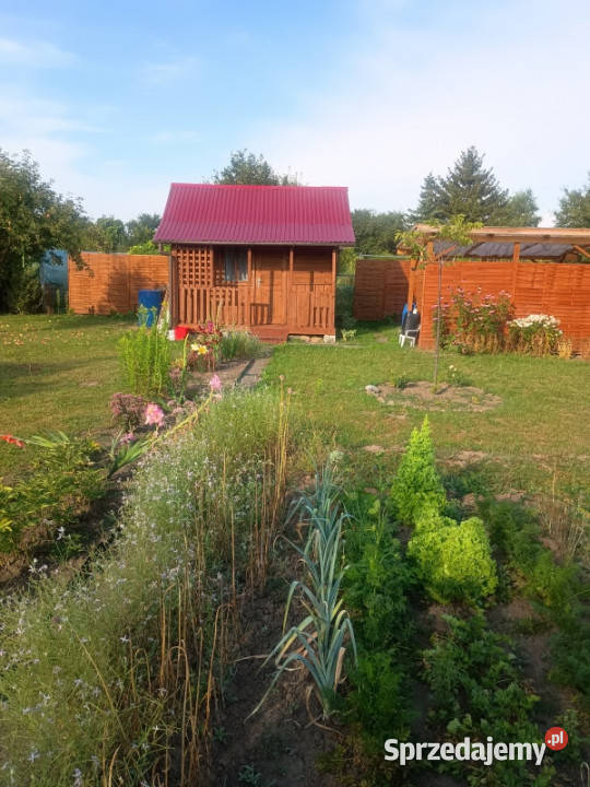 Działka ROD Warzywo 300m2 Krasnystaw