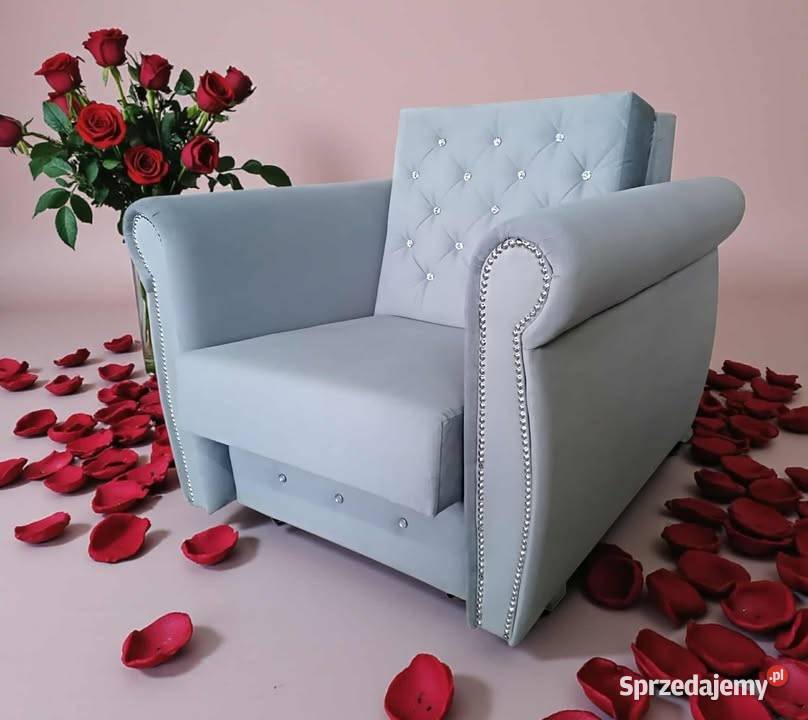 Amerykanka Chester 1 os do spania rozkładana z Katowice