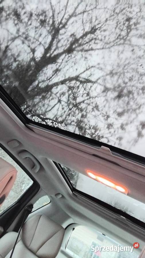 Renault Megsne Scenic 3 silnik 20dci diesel Oława sprzedam