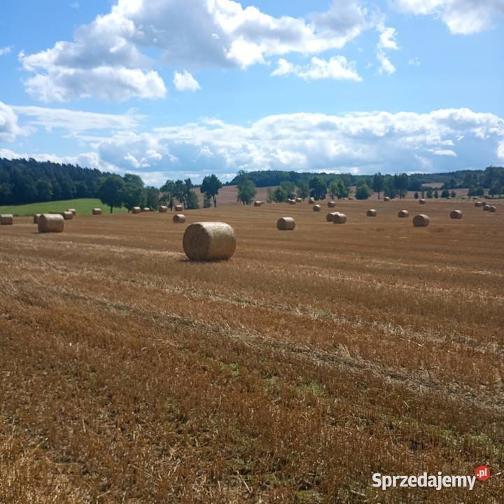 Spszedam słome 135 85 Burszewo sprzedam