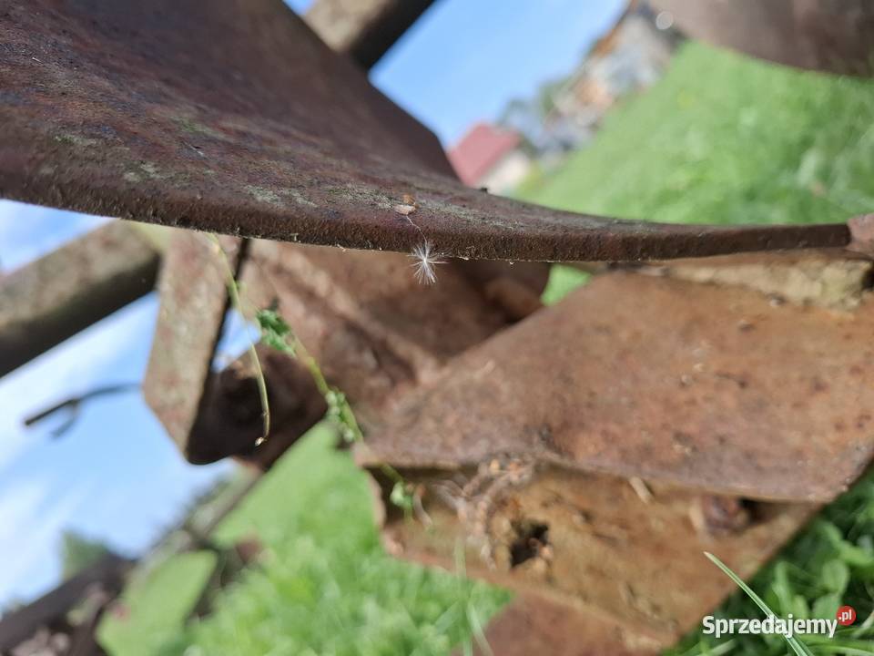 Pług grudziądz 5 skibowy Jasło