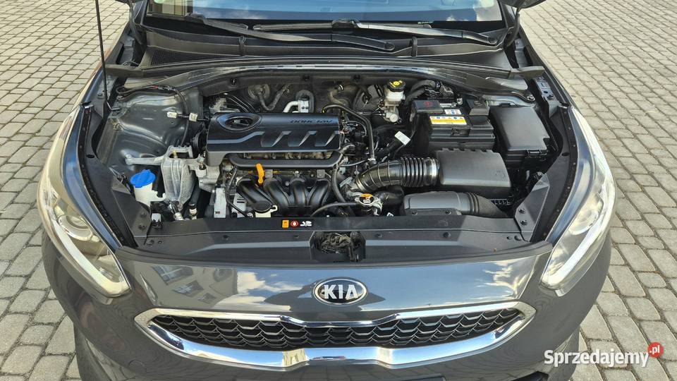 Kia Ceed 14i Benzyna 131 6Biegów Stan Zamość