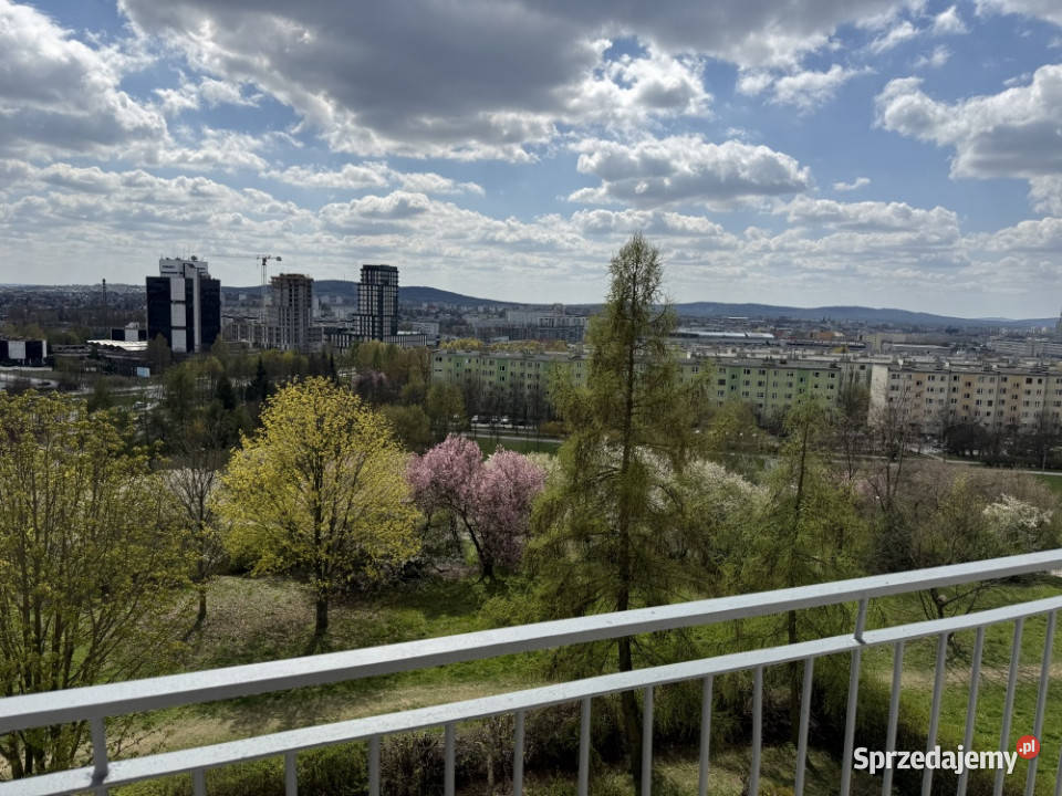 Panorama Kielc widok na park Kielce