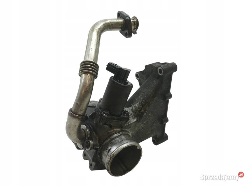 ZAWÓR EGR 22 DCI Opel Movano I 19972010 A świętokrzyskie