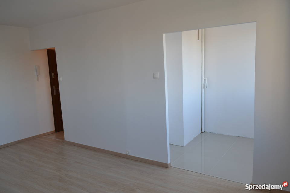 Bez pośredników 265m2 Krynicka 35 Wrocław Wrocław