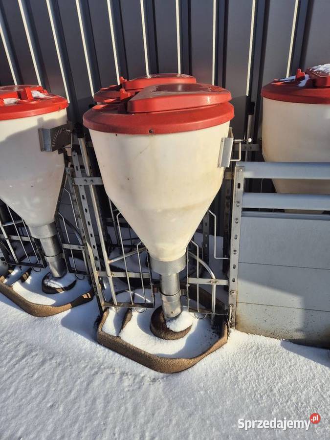 Sprzedam wyposażenie chlewni Piotrków Trybunalski