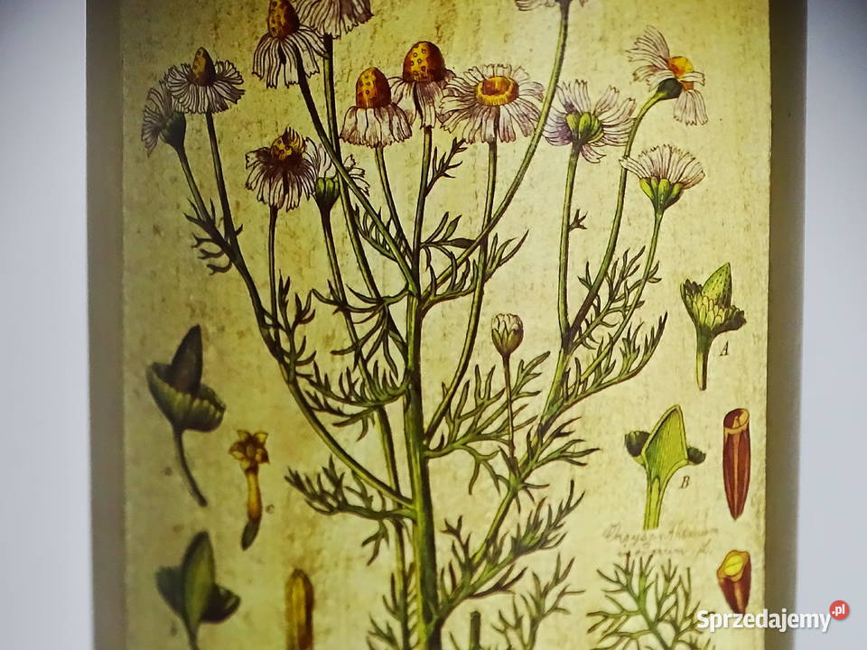 Zabytkowy pojemnik aptekarski z ilustracją Biłgoraj