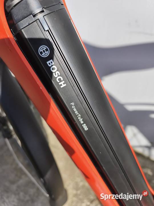 Sparta C Grid Engrey Inowrocław