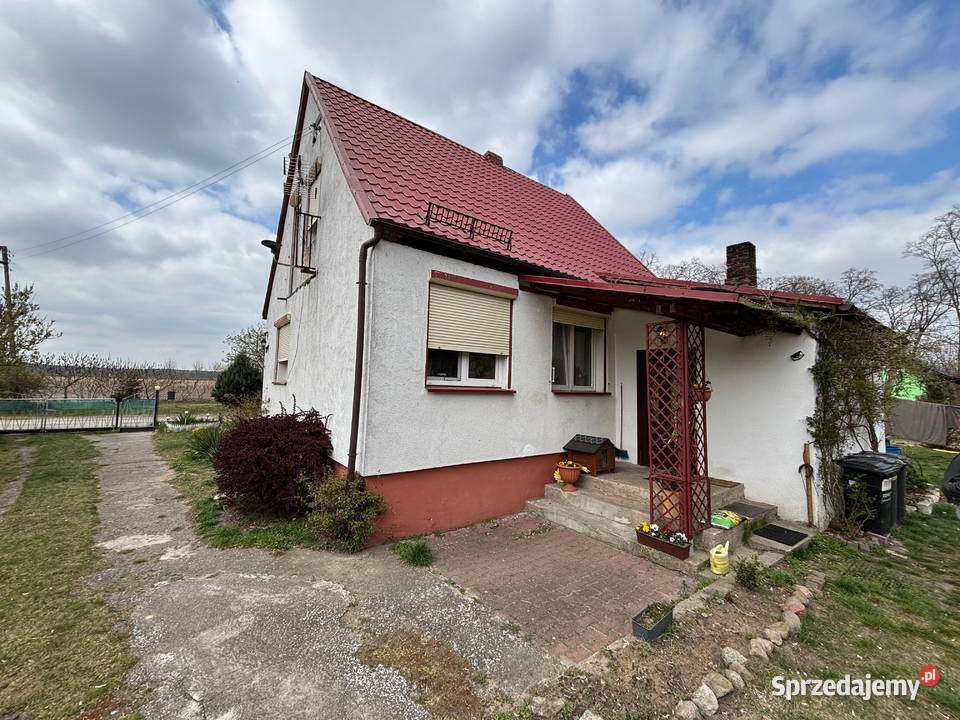 Syndyk sprzeda udział 23 części w domu lubuskie