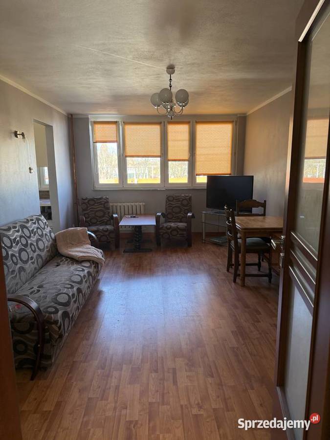 MIESZKANIE 2 POKOJOWE GRYFICE Liczba pokoi 2 sprzedam