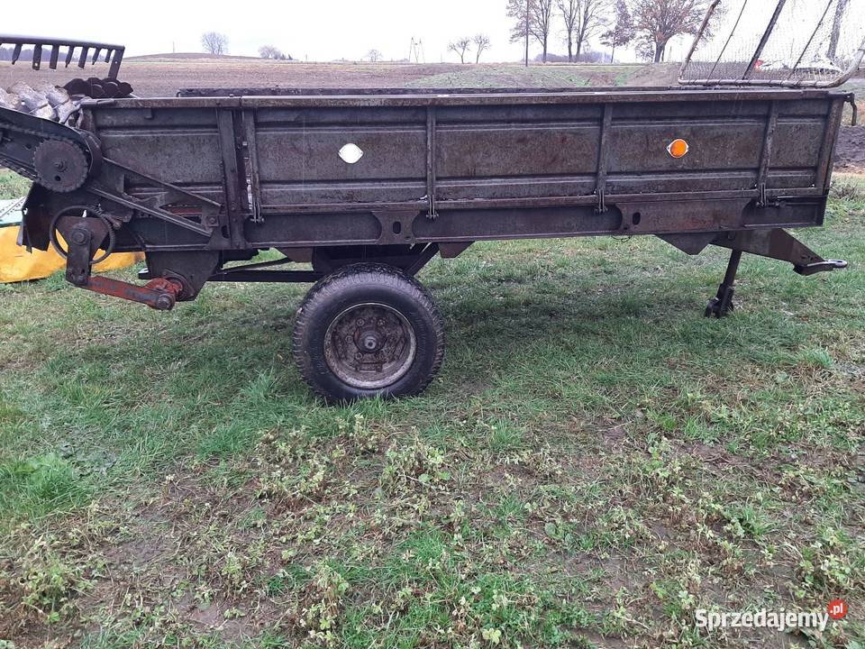 Rozrzutnik obornika wielkopolskie Łobżenica