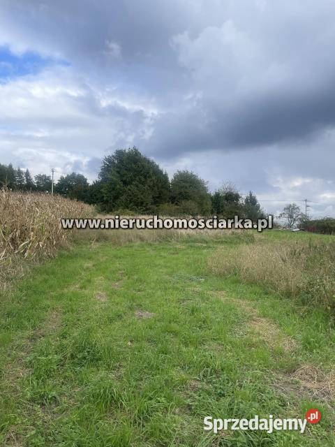 Działka 9230m2 Syrynia