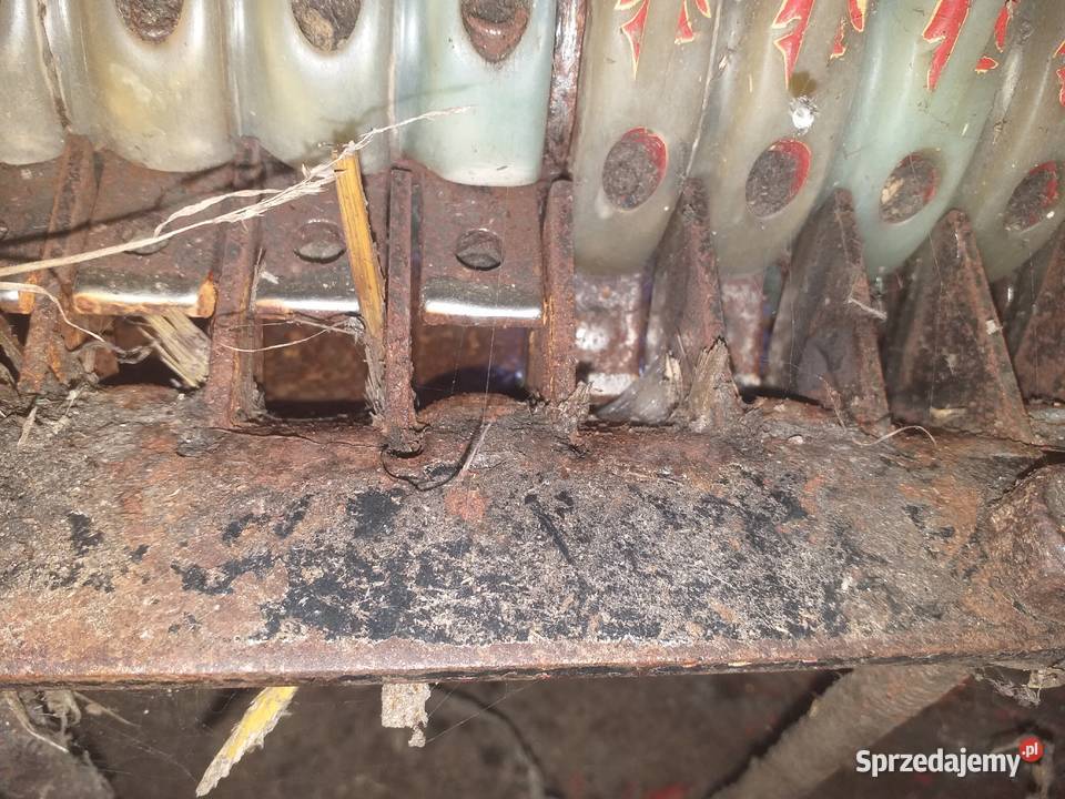 Przystawka do kukurydzy geringhoff Kalisz