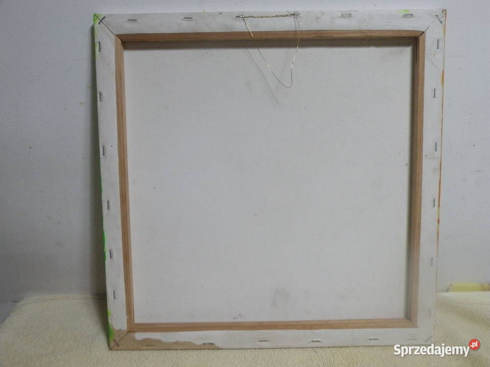 Obraz 40X40 Sygnowany Bibi Strawberry Andrychów sprzedam