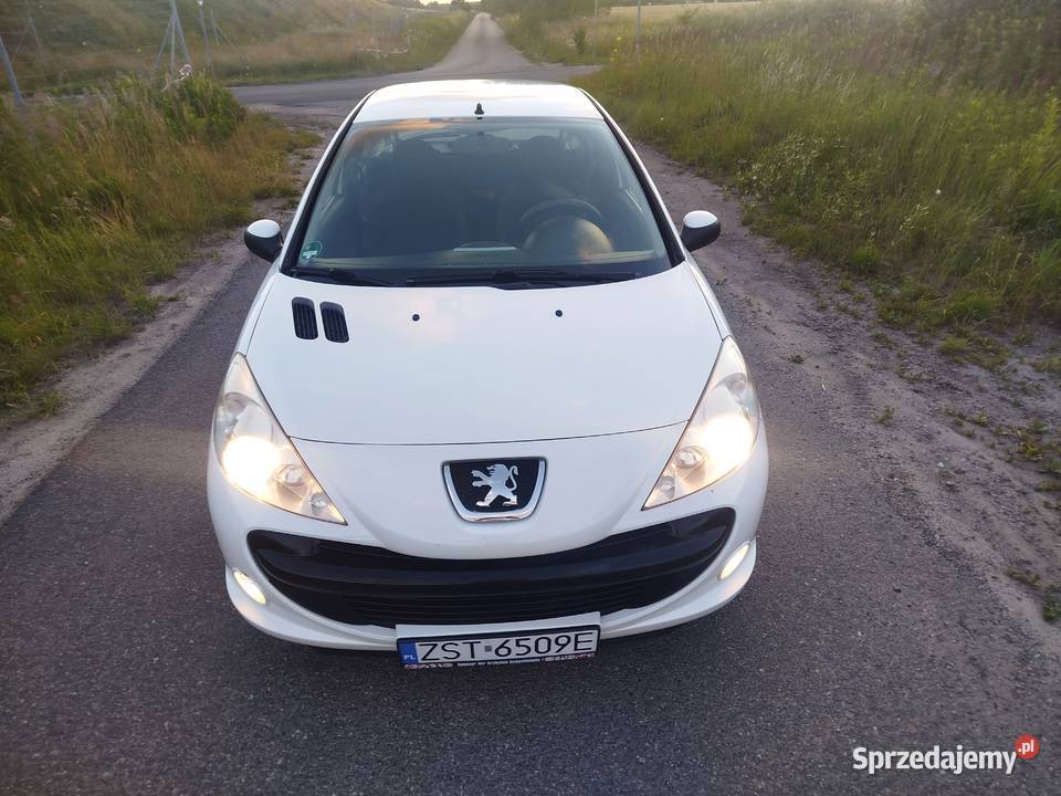 Peugeot 206 2010 14 PB 206 plus Kobylanka