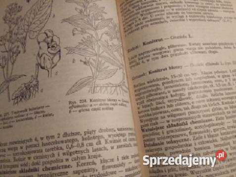 Klucz do oznaczania chorób roślin Przewodnik do Łódź