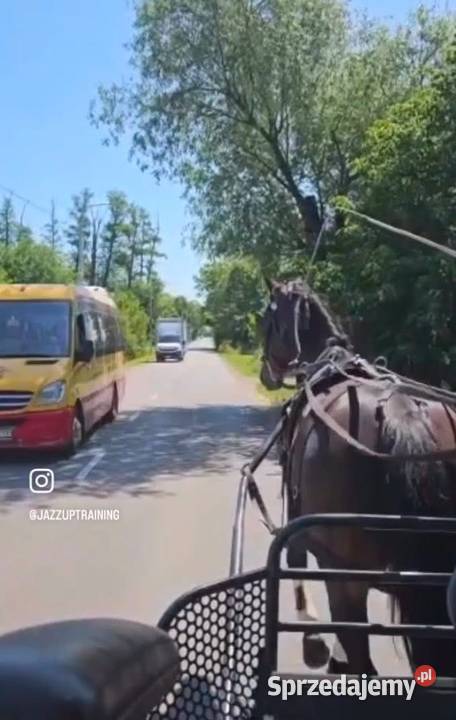 Walach do małego sportu