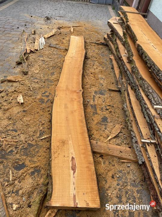 Brusy czereśnia gruszka 57 podkarpackie Babica