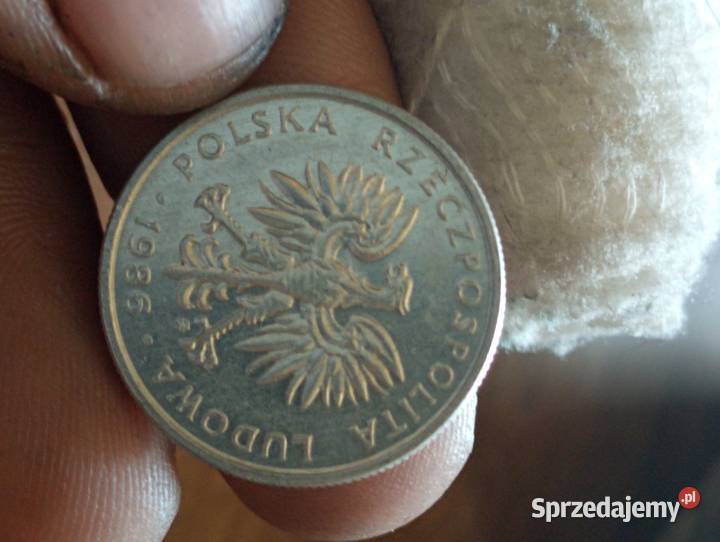 Sprzedam 50 gr 1986 r zzm Chełm