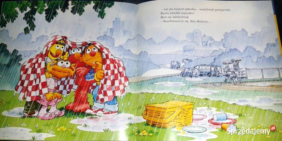 Doskonały piknik Sarah Albee Chełm