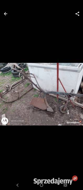Radelko kultywator konny świętokrzyskie Jędrzejów sprzedam