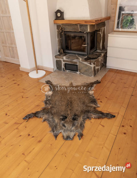 Dzik dekoracyjny skóra z dzika na podłogę skóra Szaflary