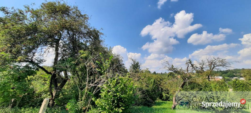 Grunt 4000m2 Paczółtowice małopolskie