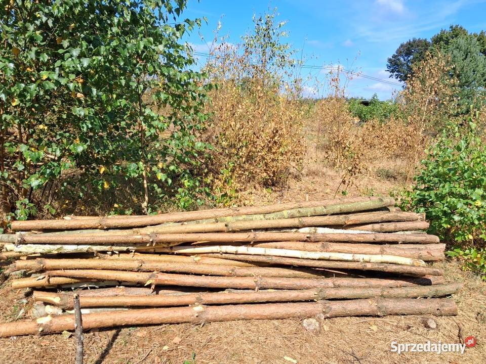 Słupki drewniane dł 255 Włocławek