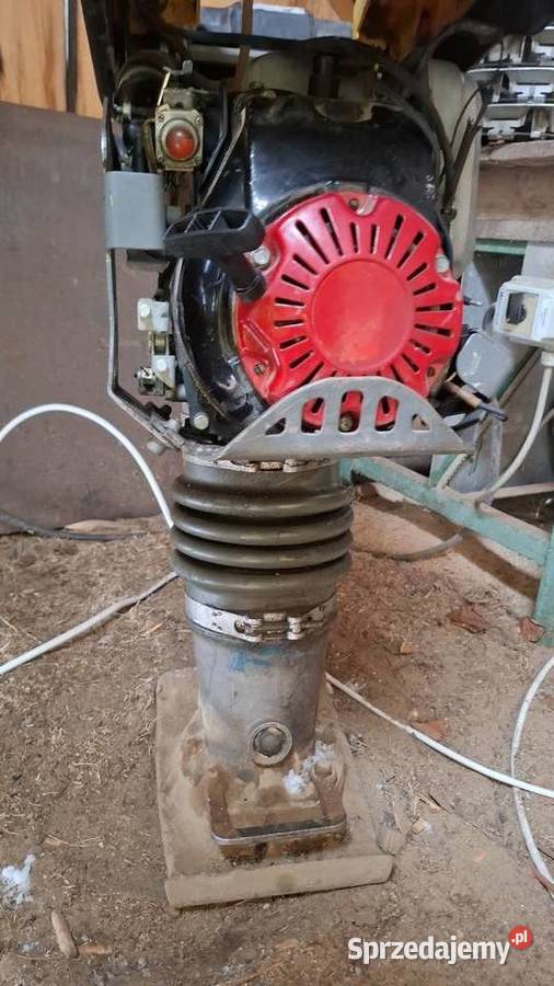 Wacker Neuson BS 604 Jasień