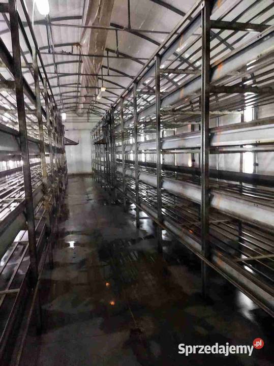 Sprzedam regaly i wyposażenie pieczerkarni mazowieckie Grójec