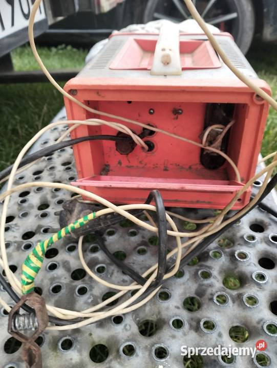 Prostownik Ruski lubelskie Żurawnica